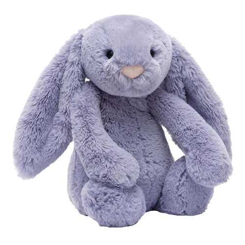 BASHFUL BUNNY  JELLYCAT ASS