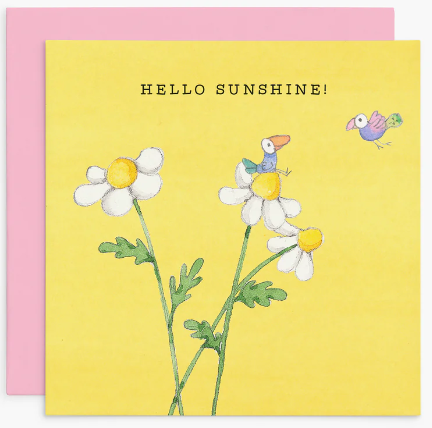 HELLO SUNSHINE TWIGSEEDS CARDS